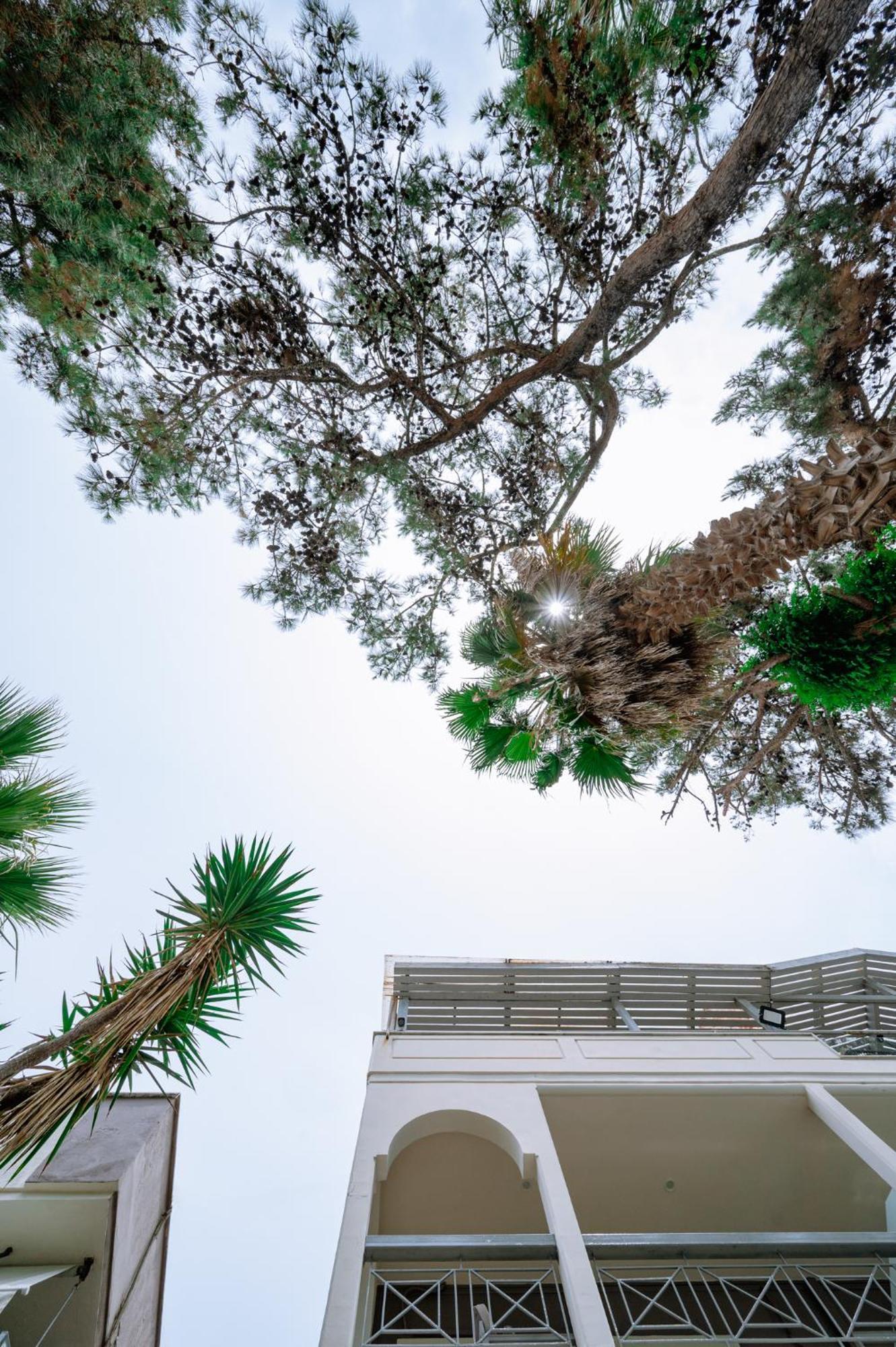 Ferienwohnung Ktima Papaoikonomou Potos Exterior foto
